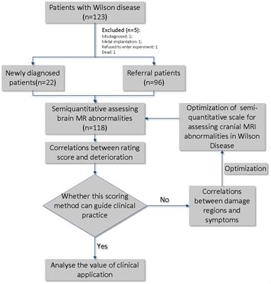 A weighted cranial diffusion-weighted imaging scale for Wilson’s disease